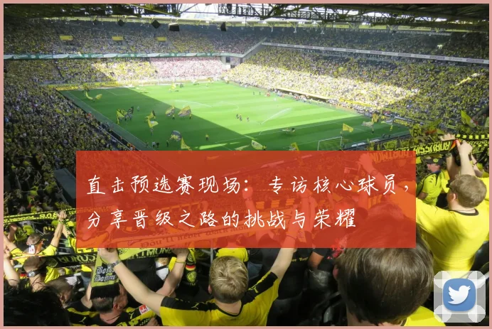 直击预选赛现场：专访核心球员，分享晋级之路的挑战与荣耀