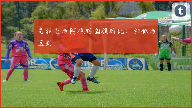 乌拉圭与阿根廷国旗对比:相似与区别