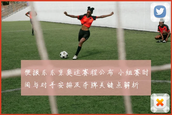 樊振东东京奥运赛程公布 小组赛时间与对手安排及夺牌关键点解析