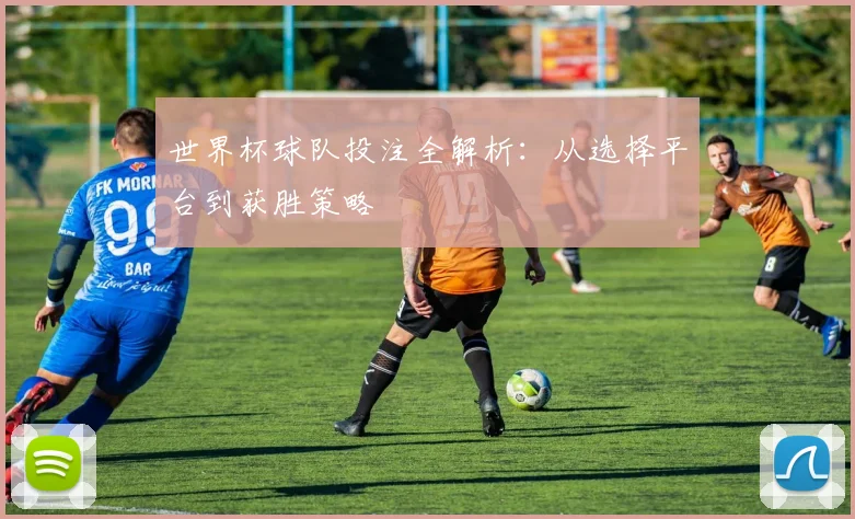 世界杯球队投注全解析：从选择平台到获胜策略