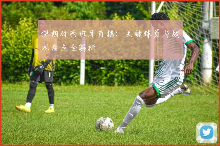 伊朗对西班牙直播：关键球员与战术看点全解析
